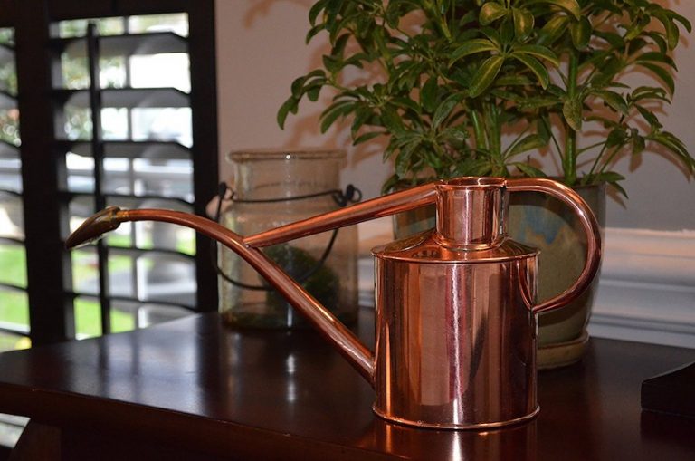 Best Watering Can 2020 UK We Review the Top Watering Cans!